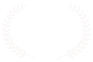 LA International Art Film Fest Winner